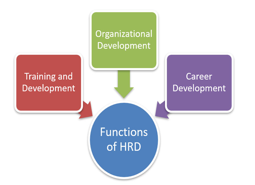 what are the functions of human resource development