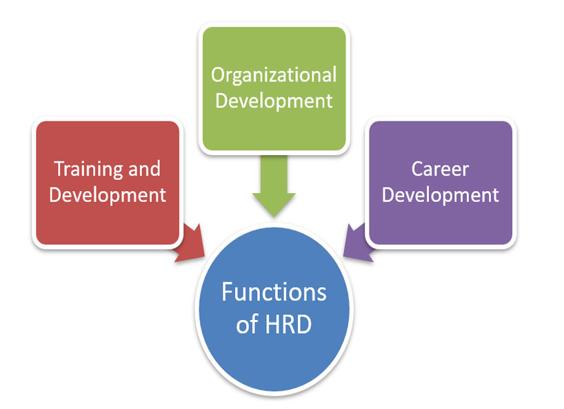 Human Resource Development HRD Definition Process Functions