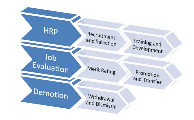 Human Resource Management Process