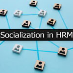 Socialization in HRM: Meaning, Dimensions, Importance, Strategies